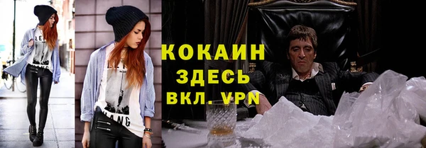 молекула духа Осташков