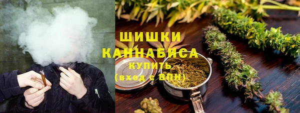 ПСИЛОЦИБИНОВЫЕ ГРИБЫ Алексин
